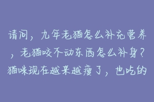 请问，九年老猫怎么补充营养，老猫咬不动东西怎么补身？猫咪现在越来越瘦了，也吃的很少，真的怕它营养不？