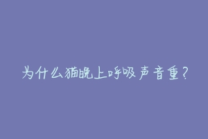 为什么猫晚上呼吸声音重？