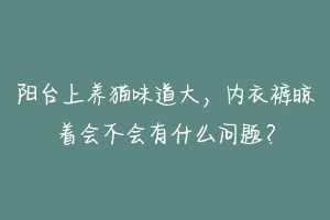 阳台上养猫味道大，内衣裤晾着会不会有什么问题？