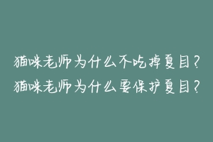 猫咪老师为什么不吃掉夏目？猫咪老师为什么要保护夏目？