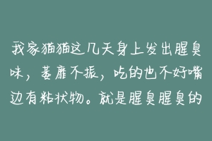 我家猫猫这几天身上发出腥臭味，萎靡不振，吃的也不好嘴边有粘状物。就是腥臭腥臭的，请问是生什么病了？