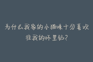 为什么我家的小猫咪十分喜欢往我的怀里钻？