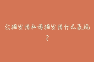 公猫发情和母猫发情什么表现？