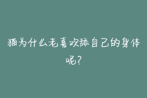 猫为什么老喜欢舔自己的身体呢？