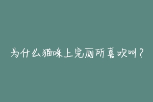 为什么猫咪上完厕所喜欢叫？