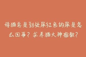 母猫总是到处尿红色的尿是怎么回事？求养猫大神指教？