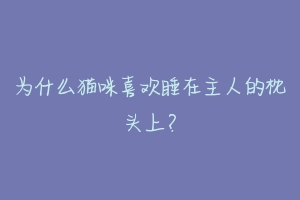 为什么猫咪喜欢睡在主人的枕头上？