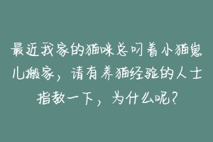 最近我家的猫咪总叼着小猫崽儿搬家，请有养猫经验的人士指教一下，为什么呢？