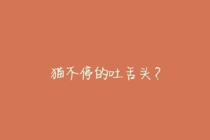 猫不停的吐舌头？