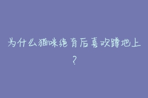 为什么猫咪绝育后喜欢蹲地上？