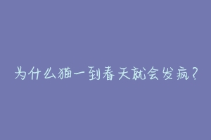 为什么猫一到春天就会发疯？