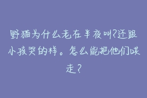 野猫为什么老在半夜叫?还跟小孩哭的样。怎么能把他们哄走？