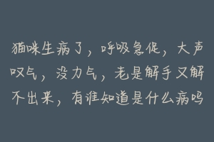 猫咪生病了，呼吸急促，大声叹气，没力气，老是解手又解不出来，有谁知道是什么病吗？