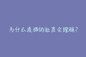 为什么摸猫的肚皮会蹬腿？