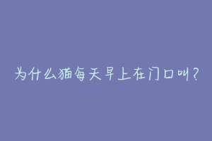 为什么猫每天早上在门口叫？