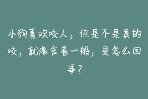 小狗喜欢咬人，但是不是真的咬，就像含着一般，是怎么回事？