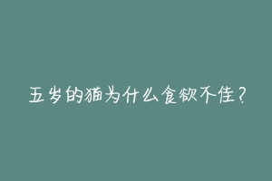 五岁的猫为什么食欲不佳？