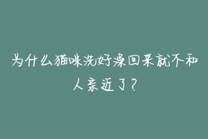 为什么猫咪洗好澡回来就不和人亲近了？