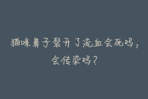 猫咪鼻子裂开了流血会死吗，会传染吗？