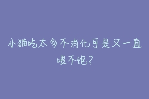 小猫吃太多不消化可是又一直喂不饱？