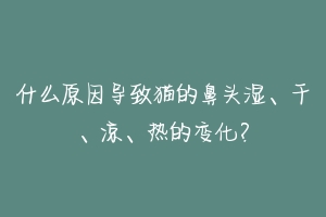 什么原因导致猫的鼻头湿、干、凉、热的变化？