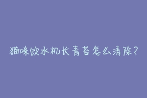 猫咪饮水机长青苔怎么清除？