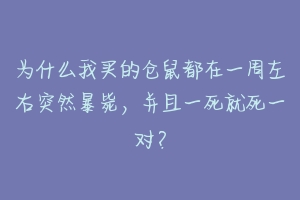 为什么我买的仓鼠都在一周左右突然暴毙，并且一死就死一对？