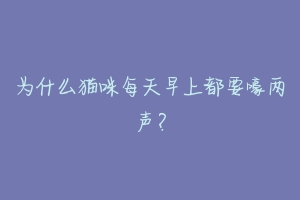 为什么猫咪每天早上都要嚎两声？