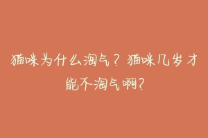 猫咪为什么淘气？猫咪几岁才能不淘气啊？