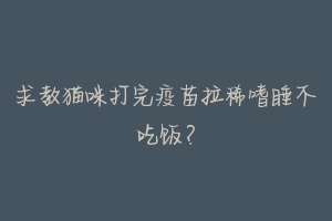 求教猫咪打完疫苗拉稀嗜睡不吃饭？