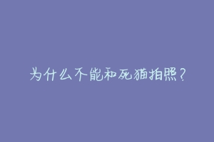 为什么不能和死猫拍照？