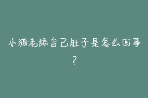 小猫老舔自己肚子是怎么回事？