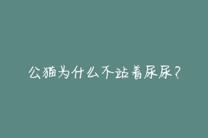 公猫为什么不站着尿尿？