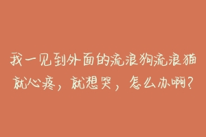 我一见到外面的流浪狗流浪猫就心疼，就想哭，怎么办啊？