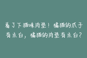 看了下猫咪肉垫！橘猫的爪子有点白，橘猫的肉垫有点白？