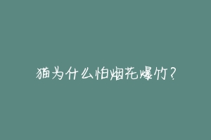 猫为什么怕烟花爆竹？