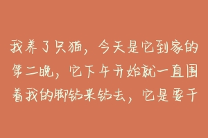 我养了只猫，今天是它到家的第二晚，它下午开始就一直围着我的脚钻来钻去，它是要干什么？（看一下详述）？