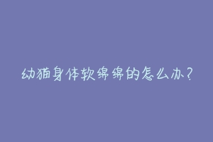 幼猫身体软绵绵的怎么办？