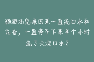 猫猫洗完澡回来一直流口水和亢奋，一直停不下来半个小时流了六次口水？