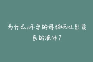 为什么,怀孕的母猫呕吐出黄色的液体？