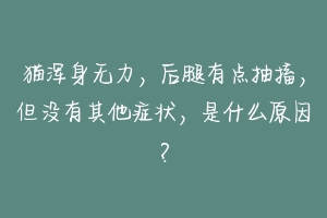 猫浑身无力，后腿有点抽搐，但没有其他症状，是什么原因？