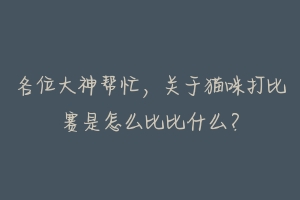 各位大神帮忙，关于猫咪打比赛是怎么比比什么？