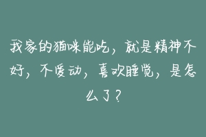 我家的猫咪能吃，就是精神不好，不爱动，喜欢睡觉，是怎么了？