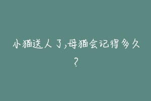 小猫送人了,母猫会记得多久？