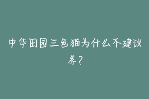 中华田园三色猫为什么不建议养？