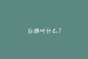 白猫叫什么？