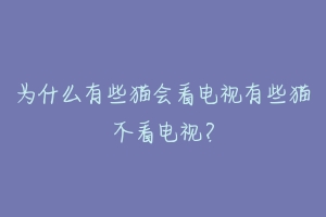 为什么有些猫会看电视有些猫不看电视？