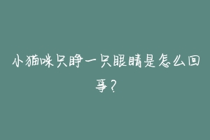 小猫咪只睁一只眼睛是怎么回事？