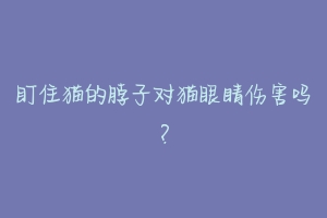 盯住猫的脖子对猫眼睛伤害吗？