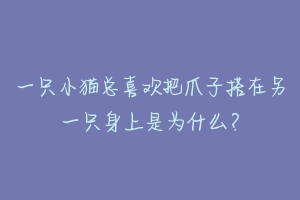 一只小猫总喜欢把爪子搭在另一只身上是为什么？